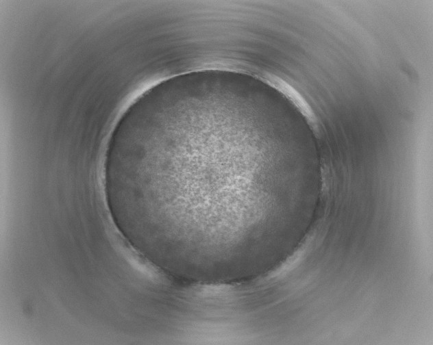 X0000115671043200911251726