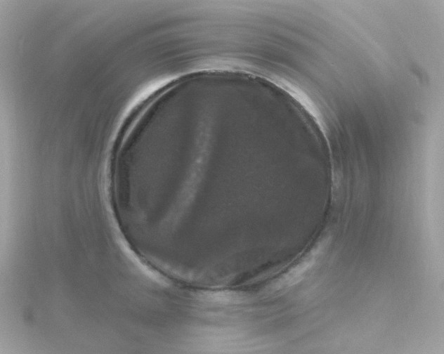 X0000115671045200911251726
