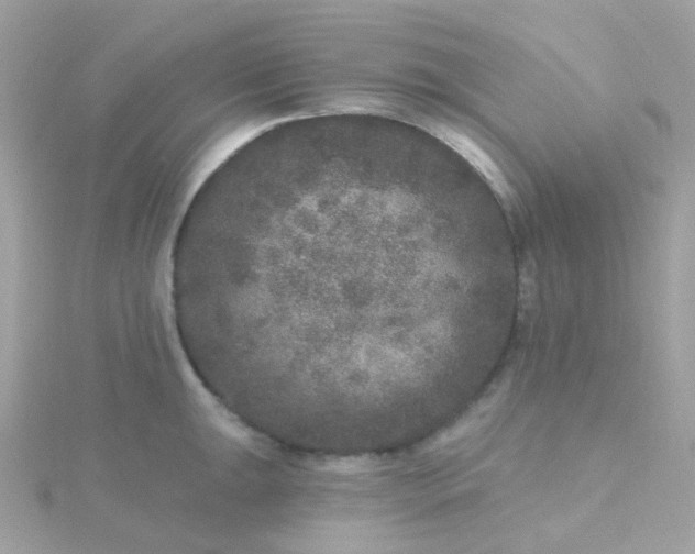 X0000115671047200911251726