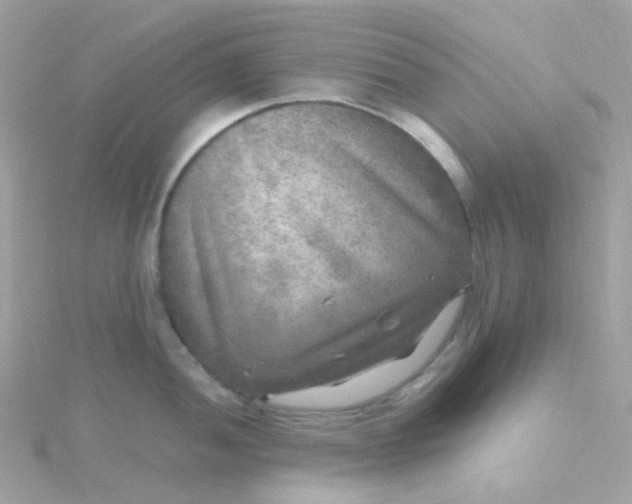 X0000115671052200911251726