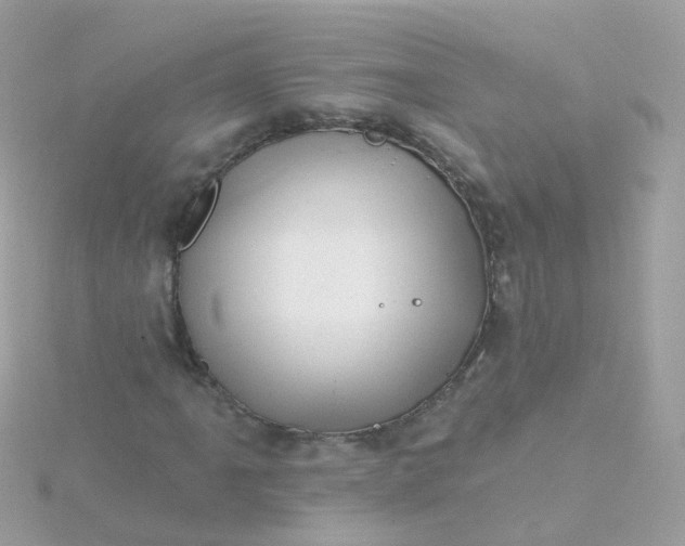 X0000115671061200911251725