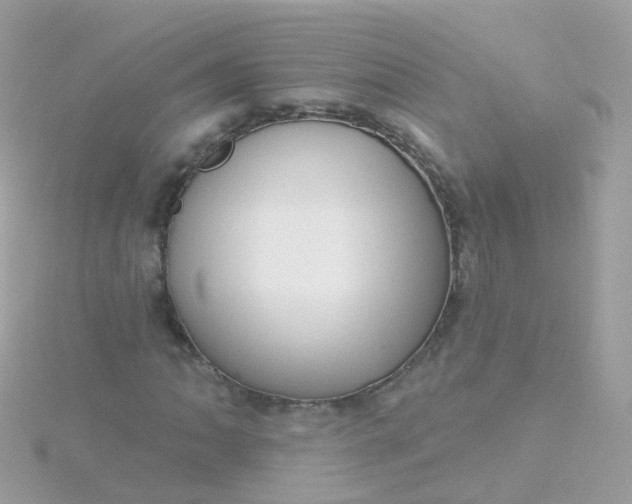 X0000115671062200911251725