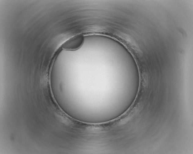 X0000115671073200911251725