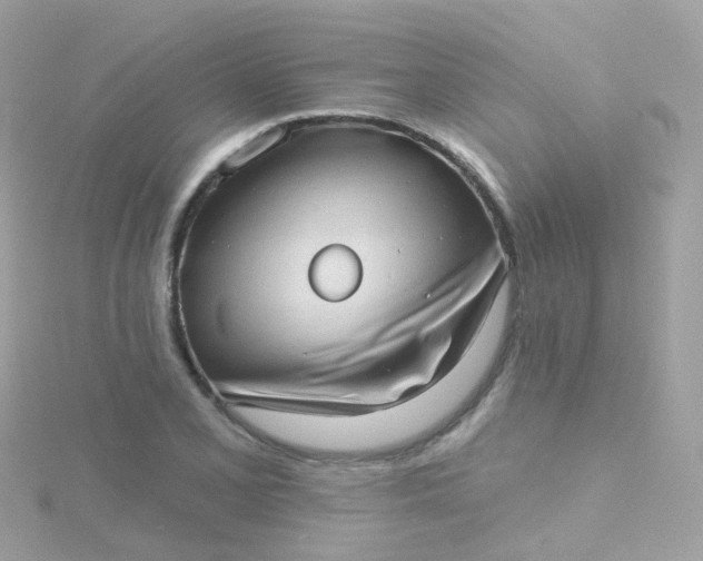 X0000115671077200911251725