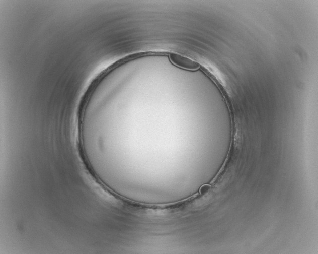 X0000115671080200911251725