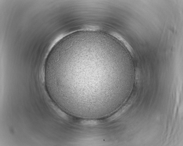 X0000115671083200911251725