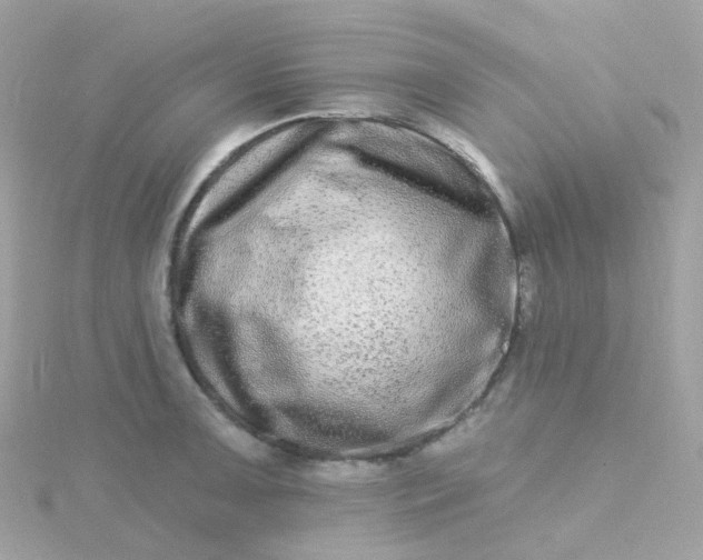 X0000115671091200911251725