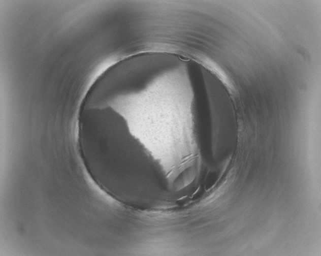 X0000115671095200911251725