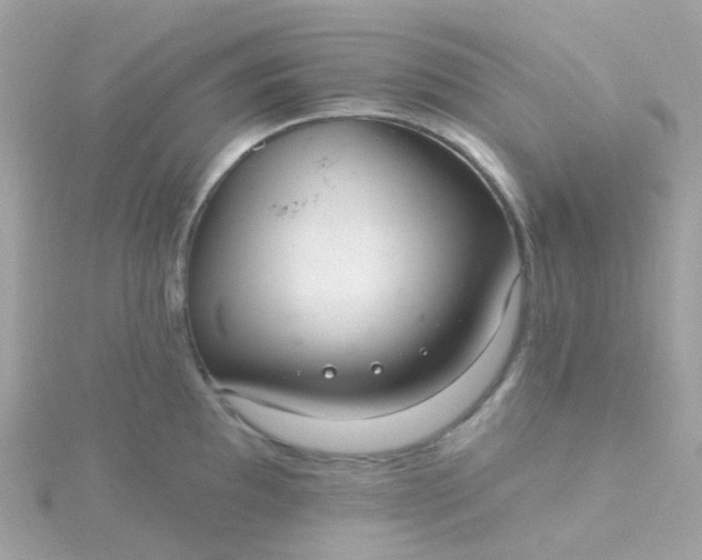 X0000115671097200911251725