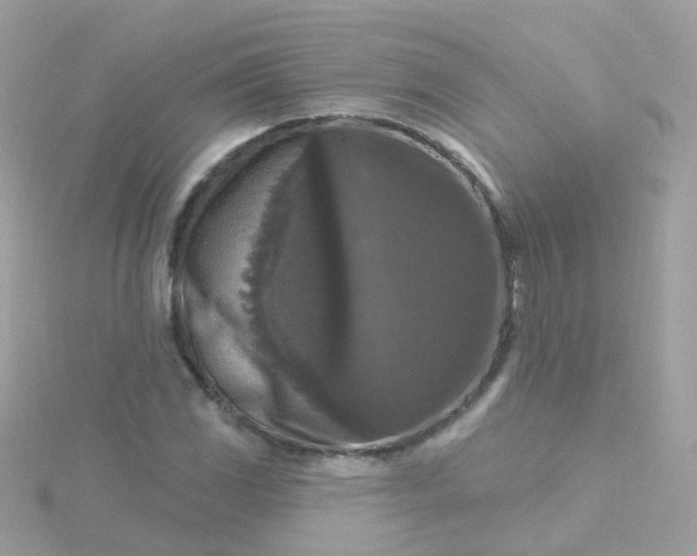 X0000115671117200911251724