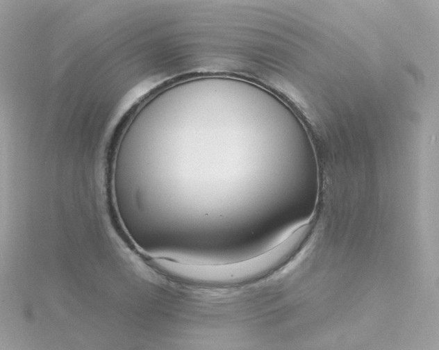 X0000115671122200911251724