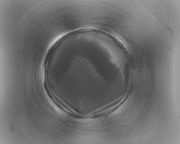 X0000115671127200911251724