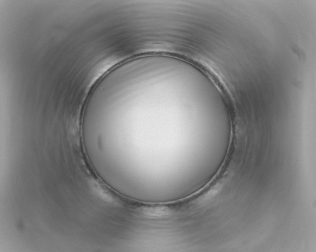 X0000115671129200911251725