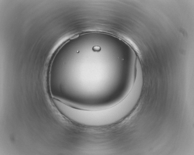 X0000115671138200911251725