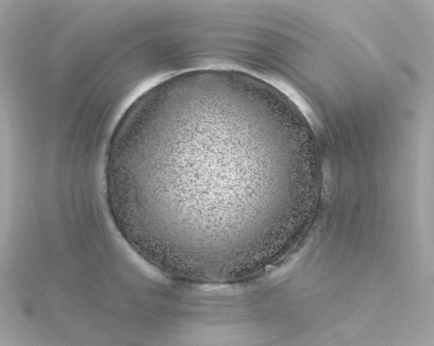 X0000115671142200911251725
