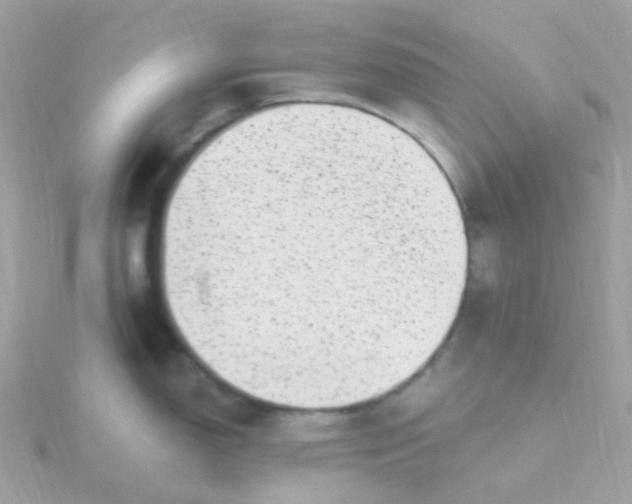 X0000115671150200911251725
