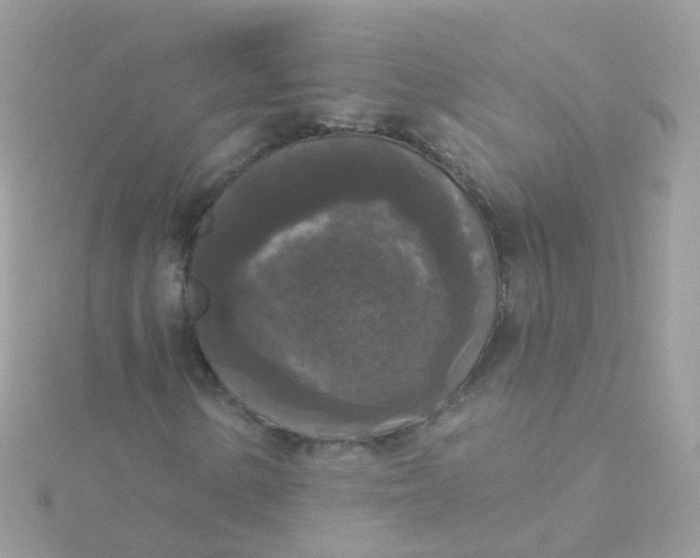 X0000115671154200911251724