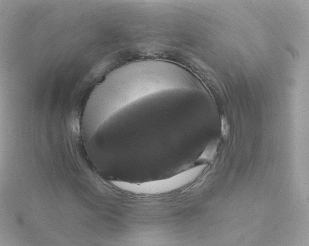 X0000115671155200911251724