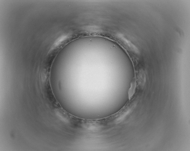 X0000115671157200911251724