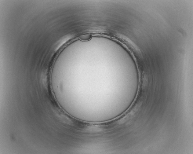 X0000115671162200911251724