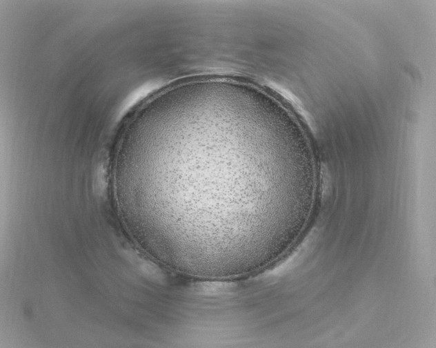 X0000115671163200911251724