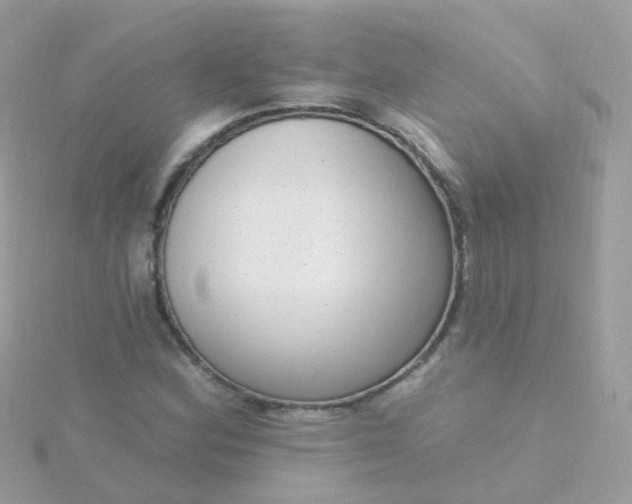 X0000115671164200911251724