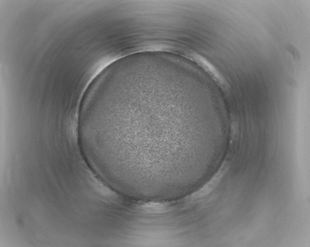 X0000115671178200911251724