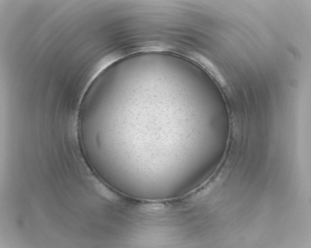 X0000115671186200911251724