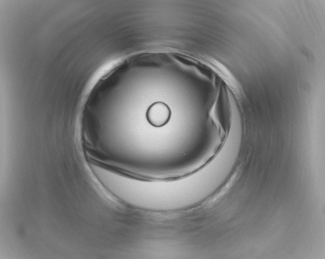 X0000115671196200911251724