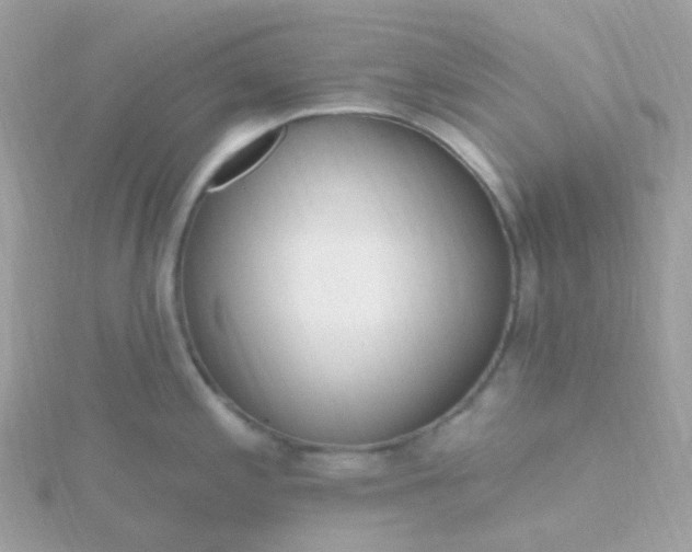 X0000115671197200911251724