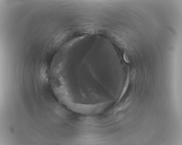 X0000115671202200911251723