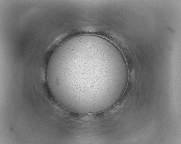 X0000115671205200911251723