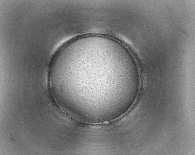 X0000115671214200911251723