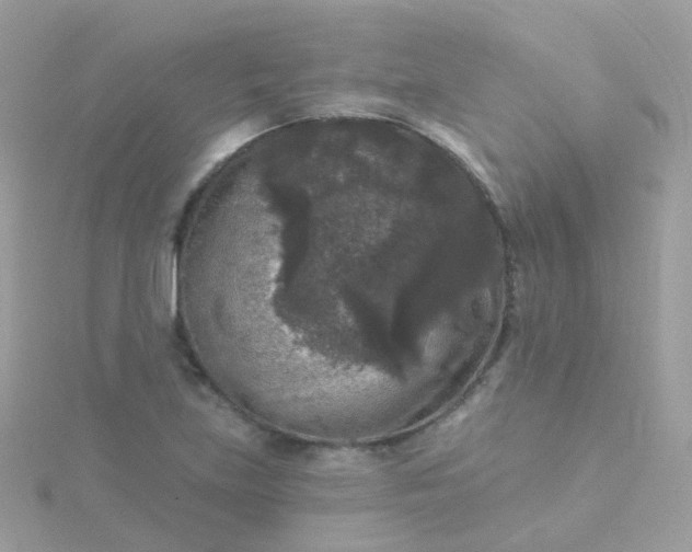 X0000115671219200911251723