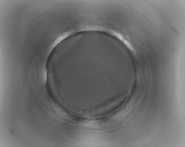 X0000115671221200911251723
