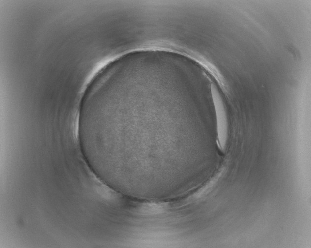 X0000115671224200911251723