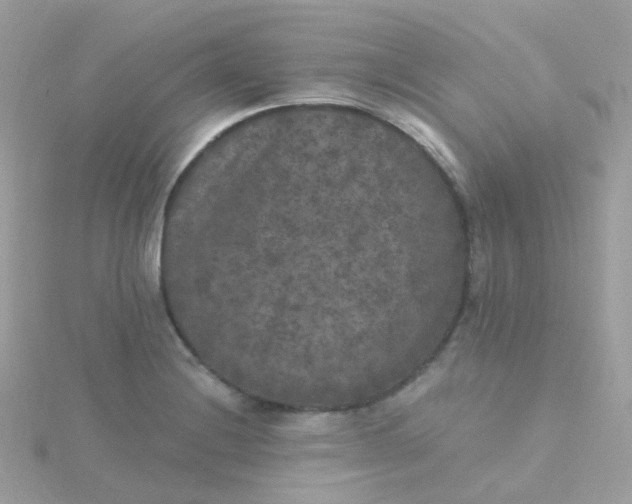 X0000115671228200911251723
