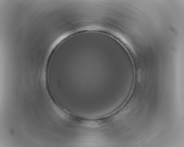 X0000115671229200911251723