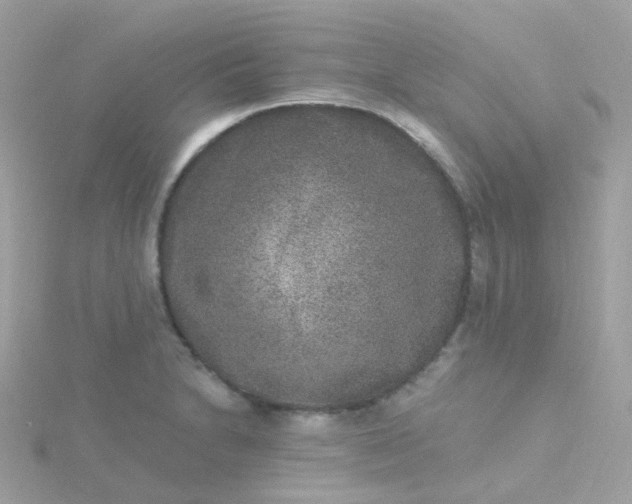 X0000115671230200911251723