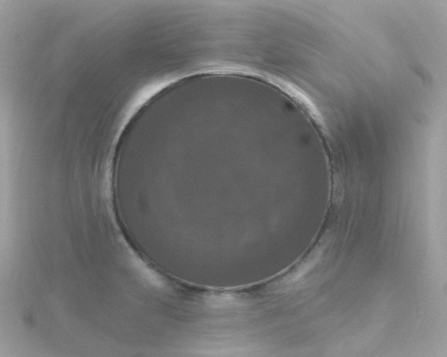 X0000115671231200911251723