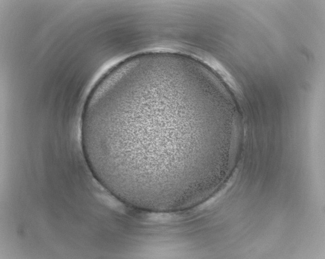 X0000115671232200911251723