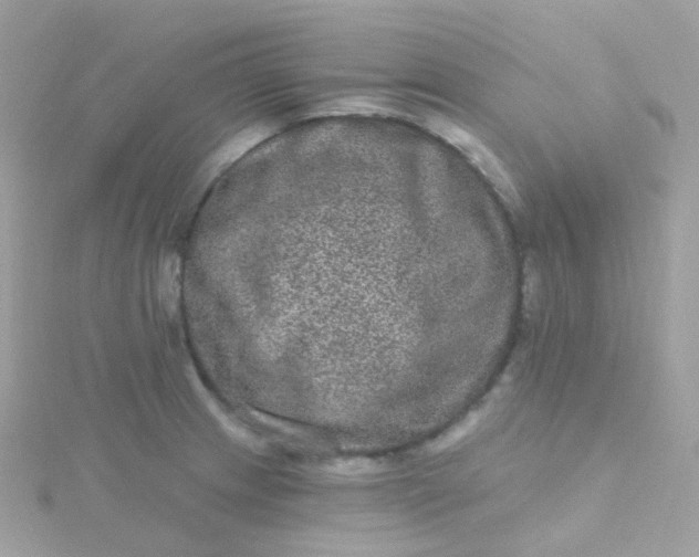 X0000115671233200911251723