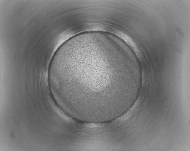 X0000115671234200911251723