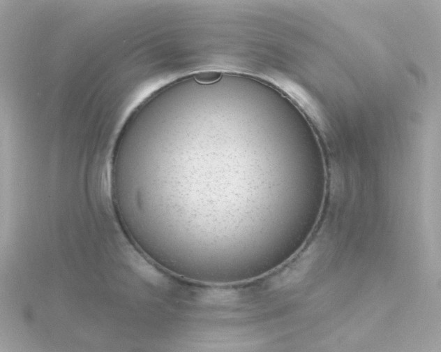 X0000115671238200911251723