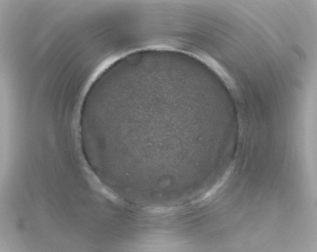 X0000115671240200911251723