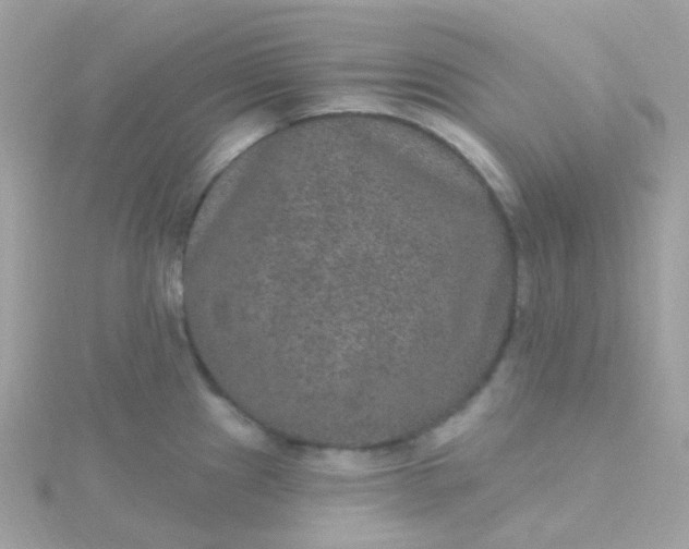 X0000115671241200911251723
