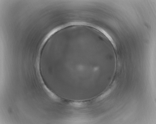 X0000115671245200911251724
