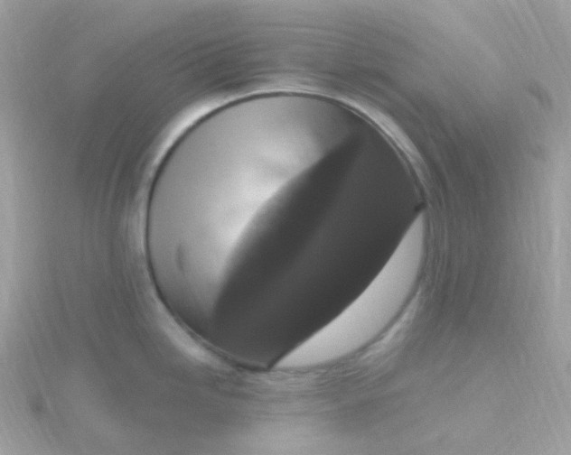 X0000115671246200911251724