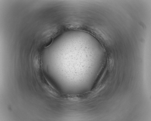 X0000115671250200911251723