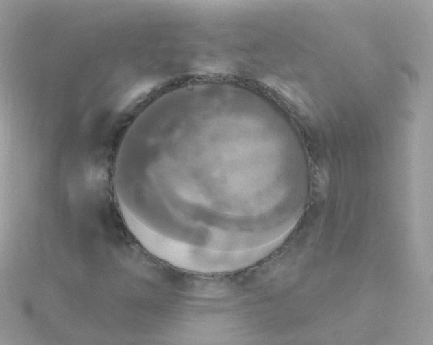 X0000115671254200911251723